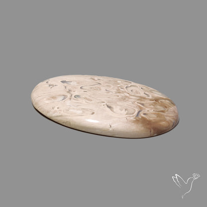 Indonesian Palmroot Agate Cabochon