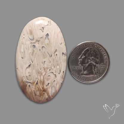 Indonesian Palmroot Agate Cabochon