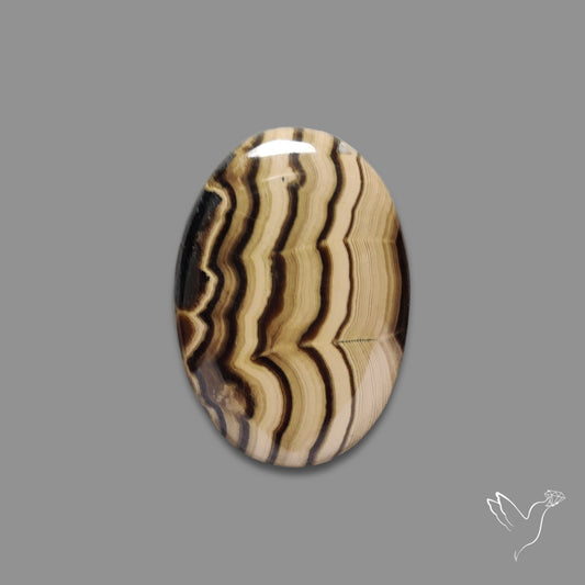 Schalenblende Cabochon