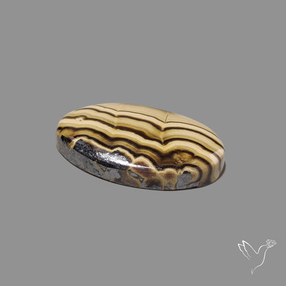 Schalenblende Cabochon