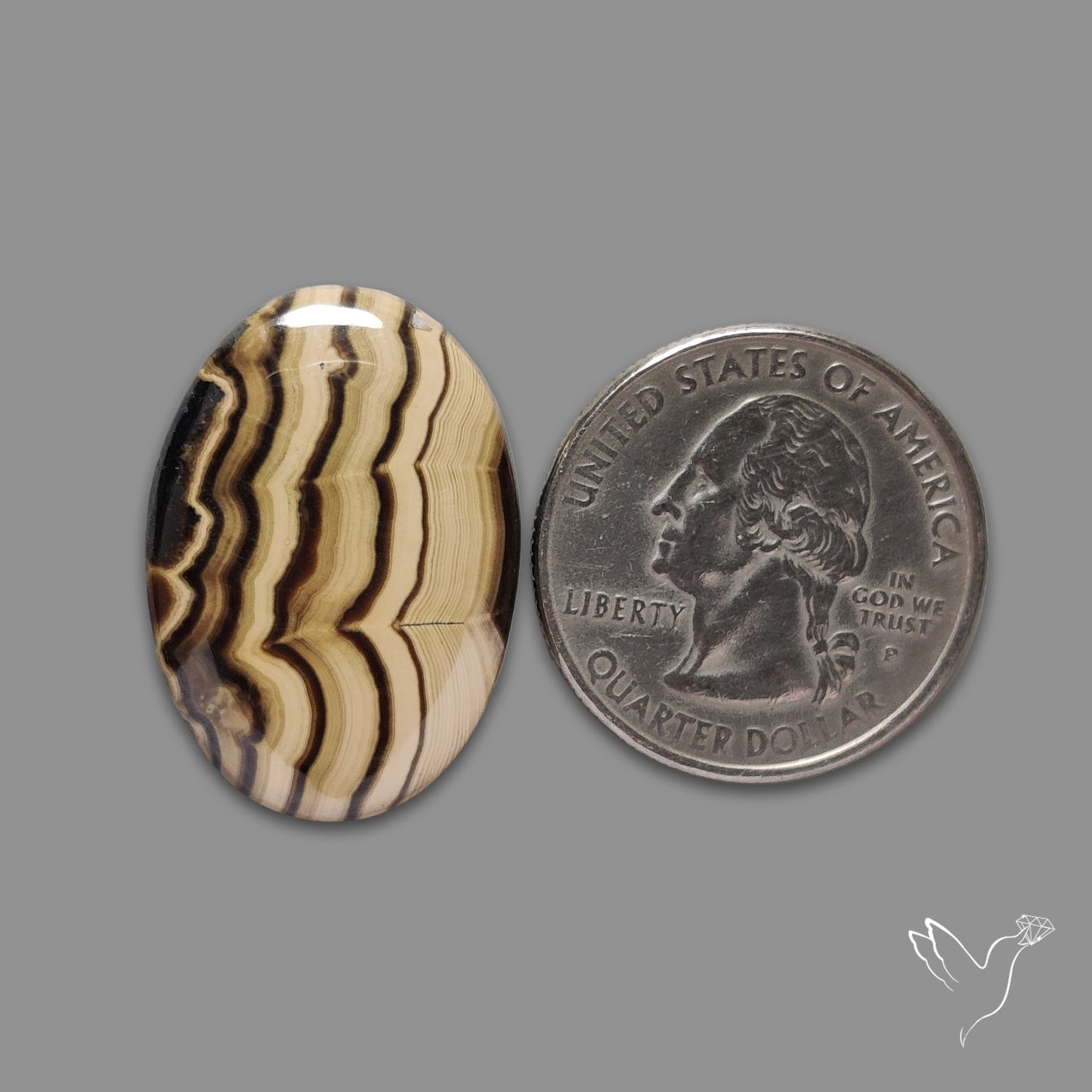 Schalenblende Cabochon