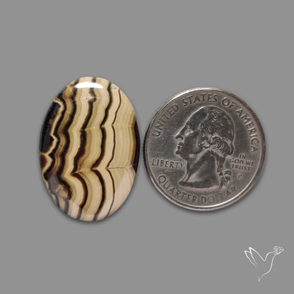 Schalenblende Cabochon