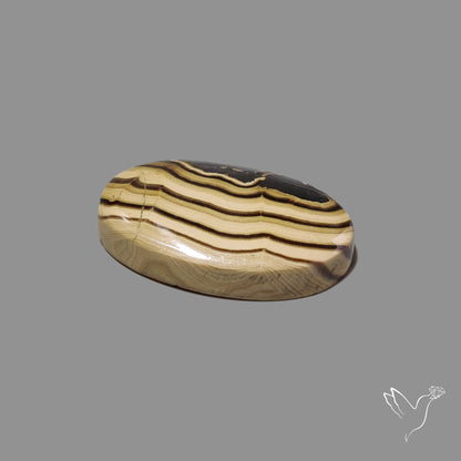 Schalenblende Cabochon