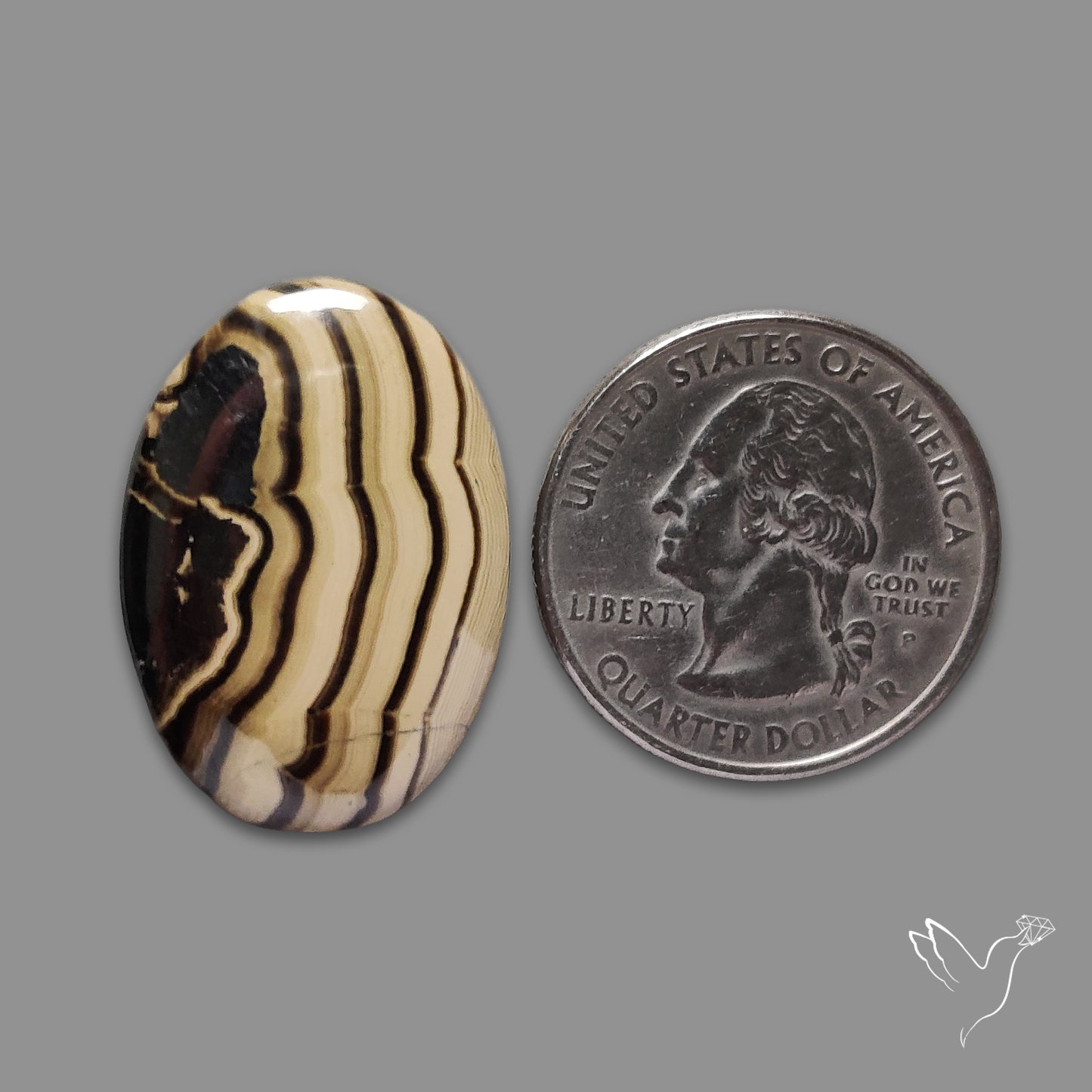 Schalenblende Cabochon