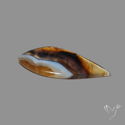 Montana Agate Cabochon