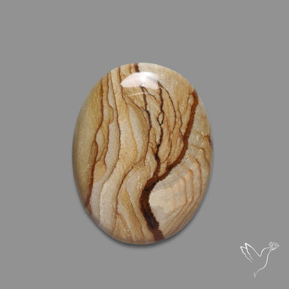 Owyhee Wild Horse Picture Jasper Cabochon