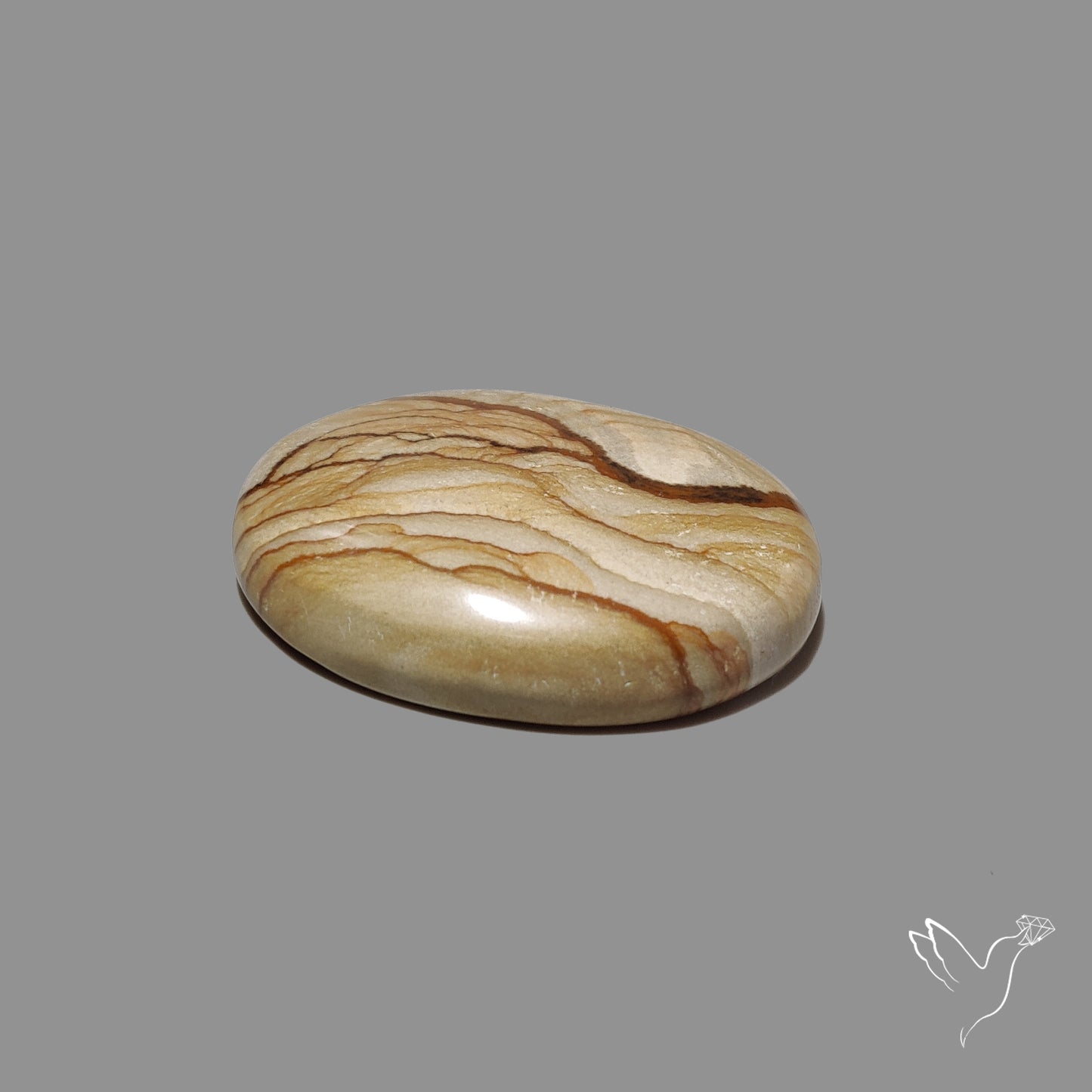 Owyhee Wild Horse Picture Jasper Cabochon