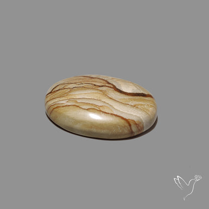 Owyhee Wild Horse Picture Jasper Cabochon