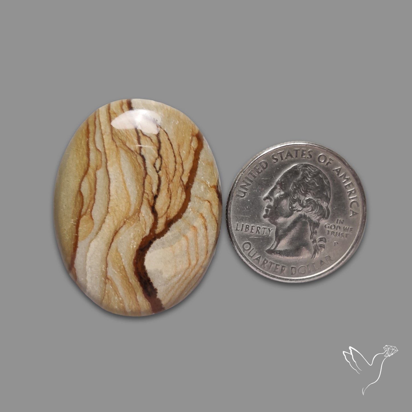 Owyhee Wild Horse Picture Jasper Cabochon