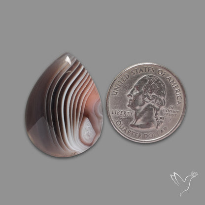 Botswana Agate Cabochon