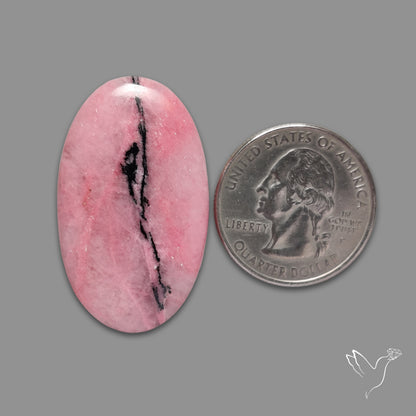 Rhodonite Cabochon