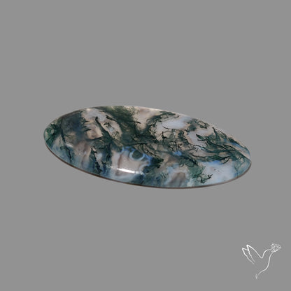 Moss Agate Cabochon