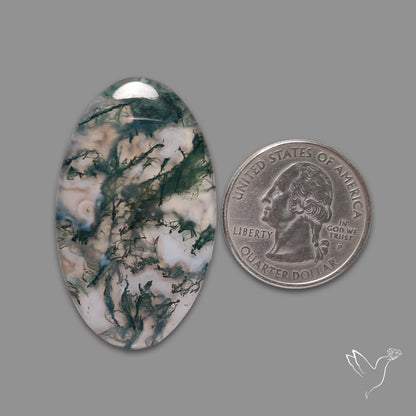 Moss Agate Cabochon