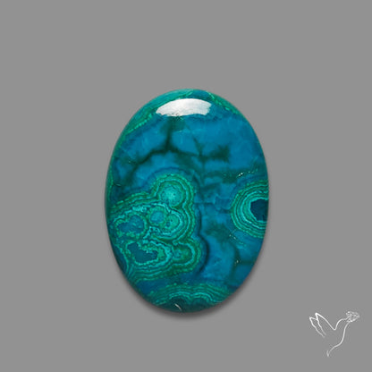 Gem Chrysocolla Cabochon