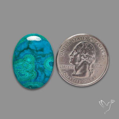 Gem Chrysocolla Cabochon