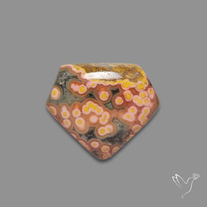 Orbicular Ocean Jasper Cabochon