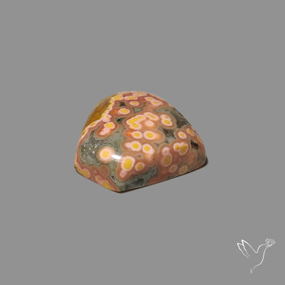 Orbicular Ocean Jasper Cabochon