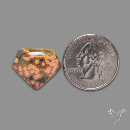 Orbicular Ocean Jasper Cabochon