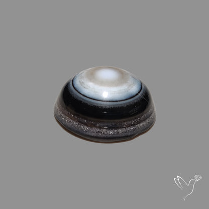 Black Banded Agate Eye Cabochon