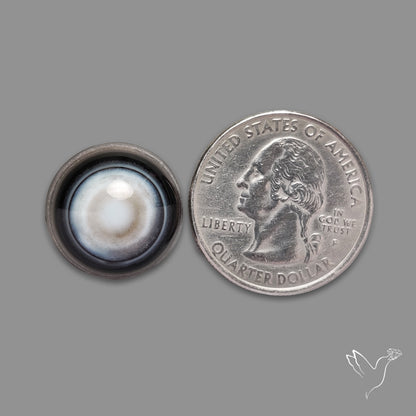 Black Banded Agate Eye Cabochon