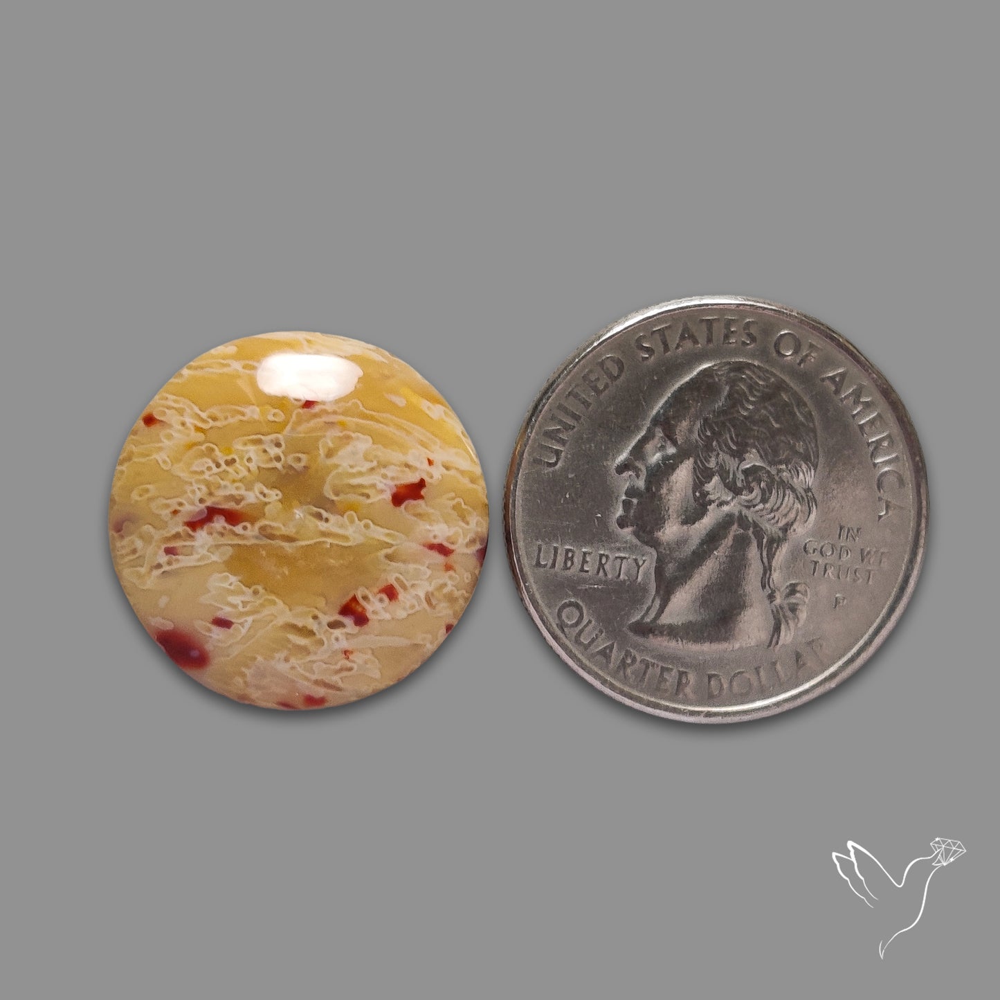 Smugglers Cove Moss Agate Cabochon