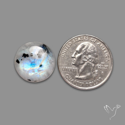 Rainbow Moonstone With Black Tourmaline Inclusions Cabochon