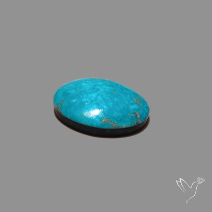 Persian Turquoise Cabochon (Backed)