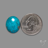 Persian Turquoise Cabochon (Backed)
