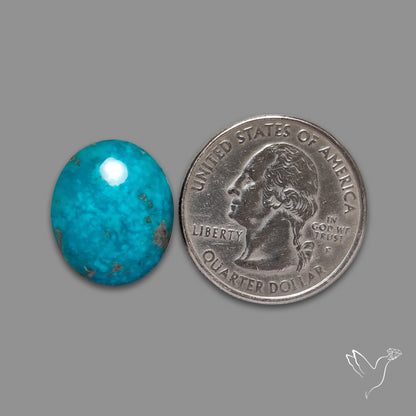 Persian Turquoise Cabochon (Backed)