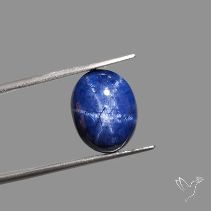 Natural Blue Star Sapphire Rare Perfect Asterism