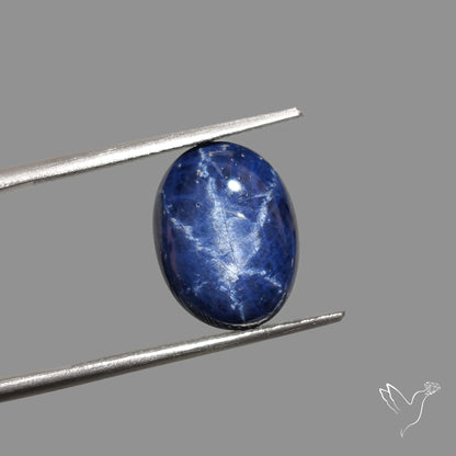 Natural Blue Star Sapphire Rare Perfect Asterism