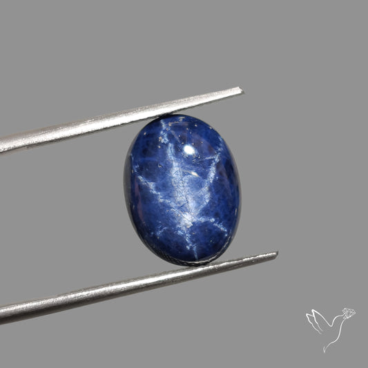 Natural Blue Star Sapphire Rare Perfect Asterism