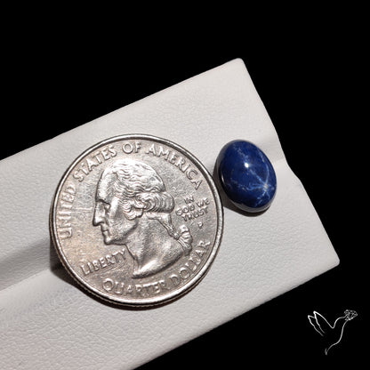 Natural Blue Star Sapphire Rare Perfect Asterism