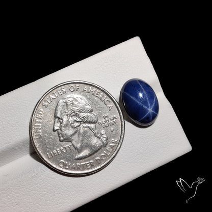 Natural Blue Star Sapphire Rare Perfect Asterism