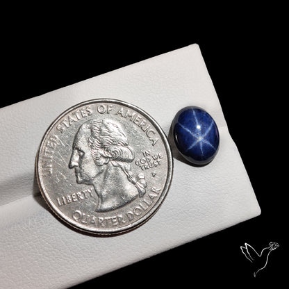 Natural Blue Star Sapphire Rare Perfect Asterism
