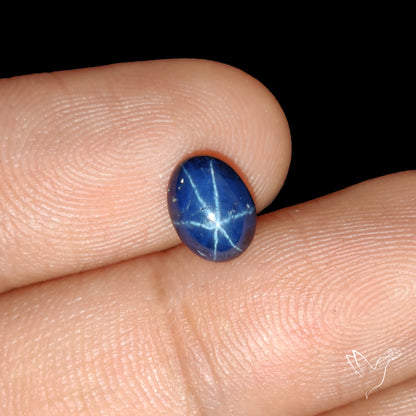 Natural Blue Star Sapphire Rare Perfect Asterism