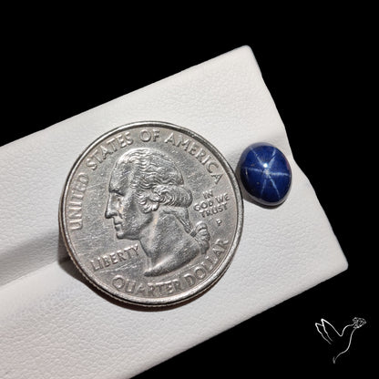 Natural Blue Star Sapphire Rare Perfect Asterism