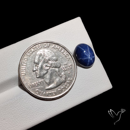 Natural Blue Star Sapphire Rare Perfect Asterism