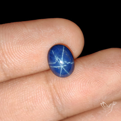 Natural Blue Star Sapphire Rare Perfect Asterism