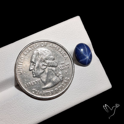 Natural Blue Star Sapphire Rare Perfect Asterism