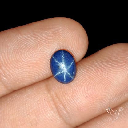 Natural Blue Star Sapphire Rare Perfect Asterism