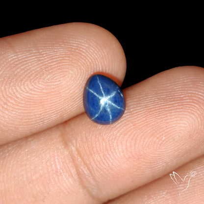 Natural Blue Star Sapphire Rare Perfect Asterism