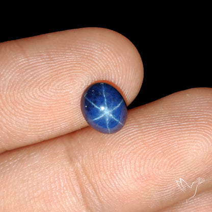 Natural Blue Star Sapphire Rare Perfect Asterism