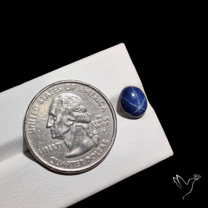 Natural Blue Star Sapphire Rare Perfect Asterism