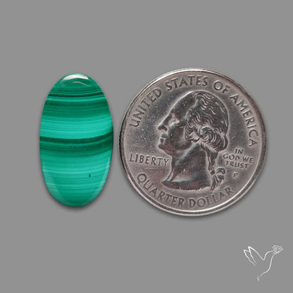 Malachite Cabochon