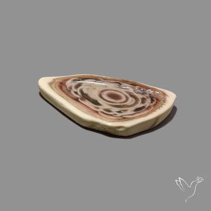 Imperial Jasper Slice