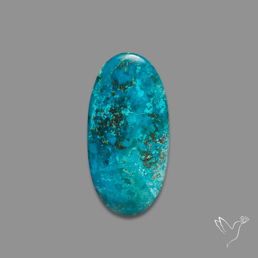 Chrysocolla Cabochon
