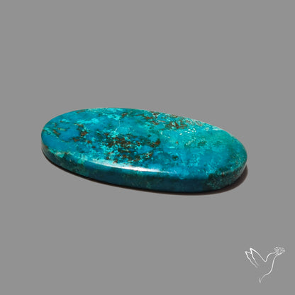 Chrysocolla Cabochon