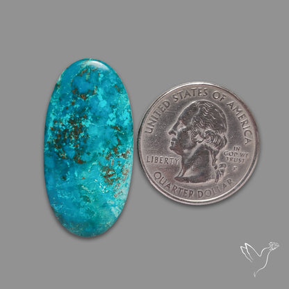 Chrysocolla Cabochon