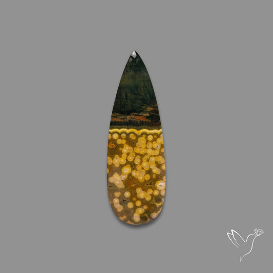 Orbicular Ocean Jasper Cabochon